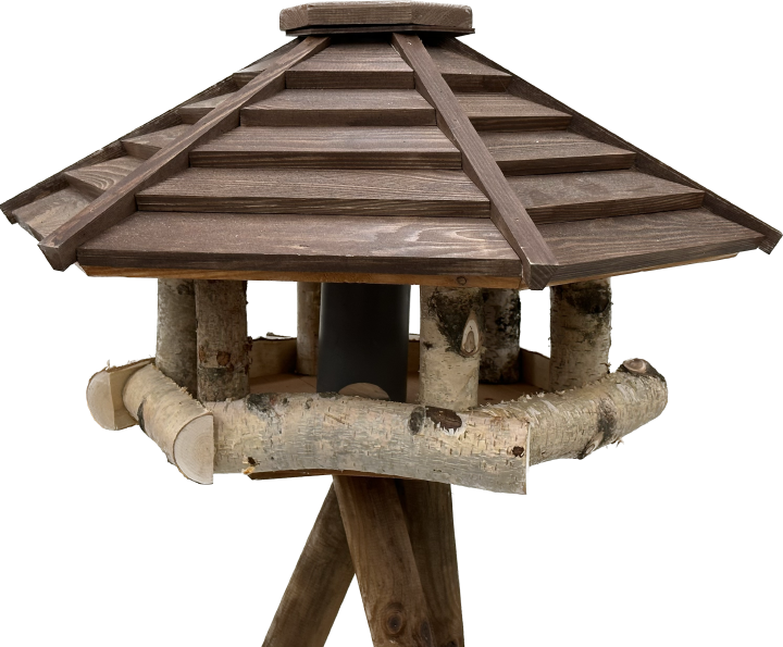 Spatz Vogelhaus Allgäu